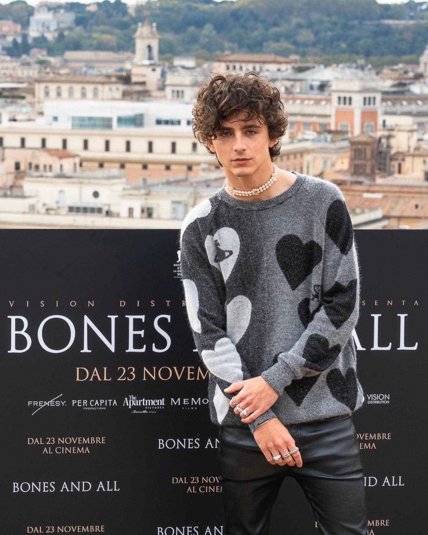 Timothée Chalamet Movies, Age, Net Worth & Relationship 2026