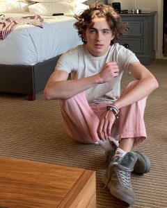Timothée Chalamet Movies, Age, Net Worth & Relationship 2026