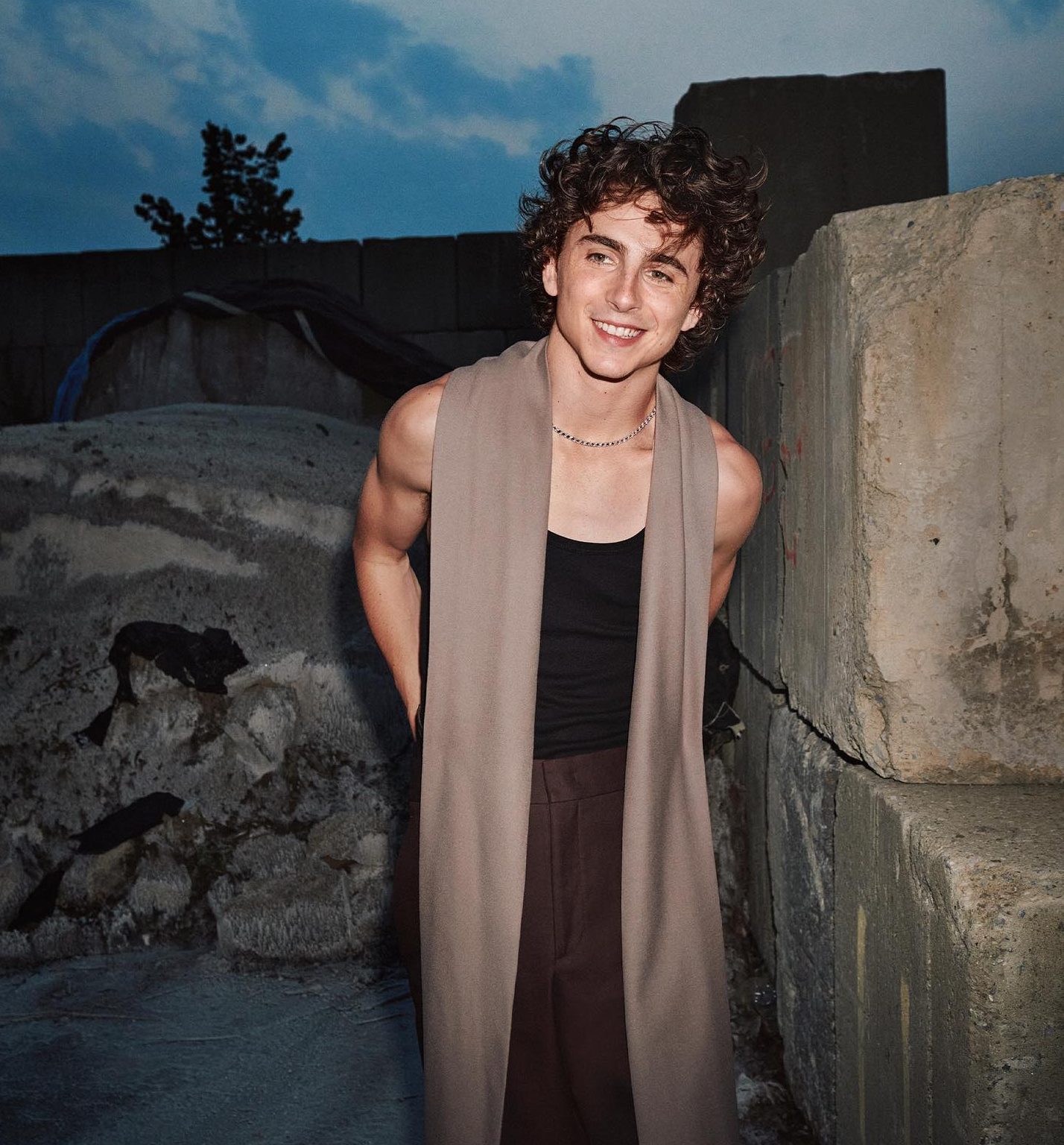 Timothée Chalamet Movies, Age, Net Worth & Relationship 2026