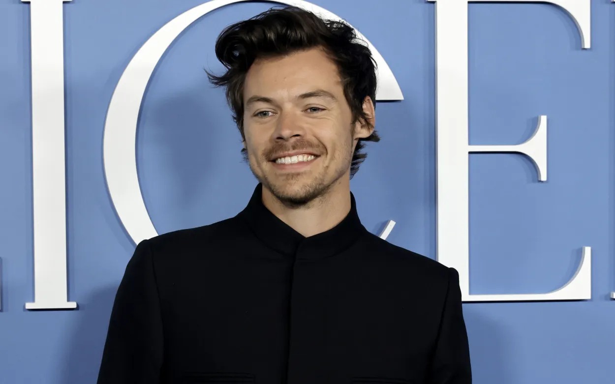 Harry Styles Net Worth: How Much Has the Pop Icon Earned?