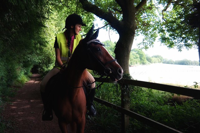 Joanna Holland: Model, Actress, and Social Media Influencer