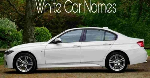 White Car Names: 300+ Stylish, Cool & Unique Ideas for Your Ride