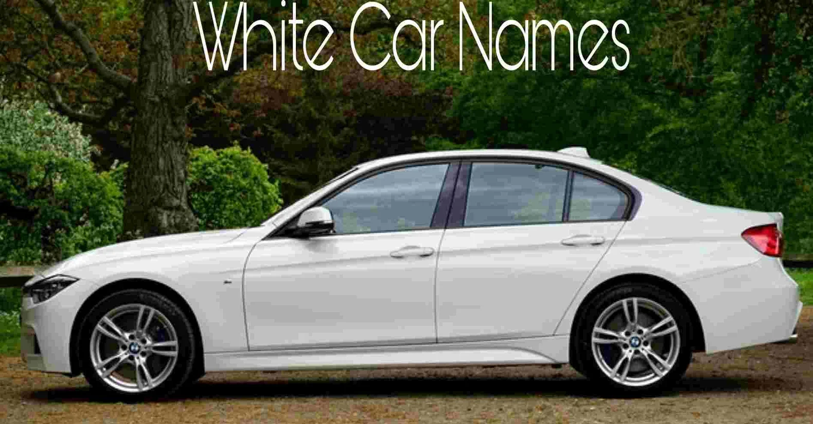 White Car Names: 300+ Stylish, Cool & Unique Ideas for Your Ride