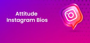 Attitude Bio for Insta in Hindi: Show Your Swag with Style