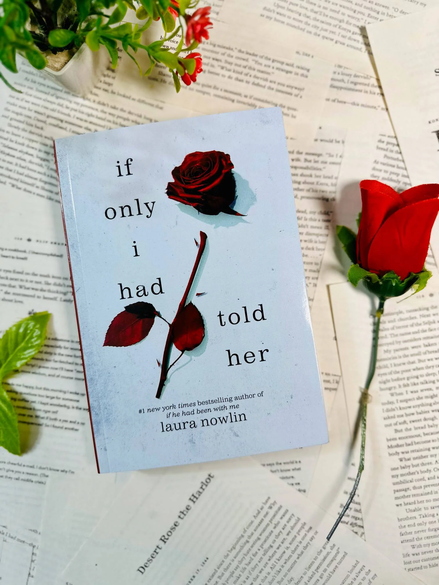 If Only I Had Told Her: A Story of Regret and Lost Words