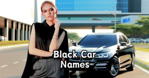Black Car Names: Bold, Sleek & Powerful Name Ideas for Your Ride