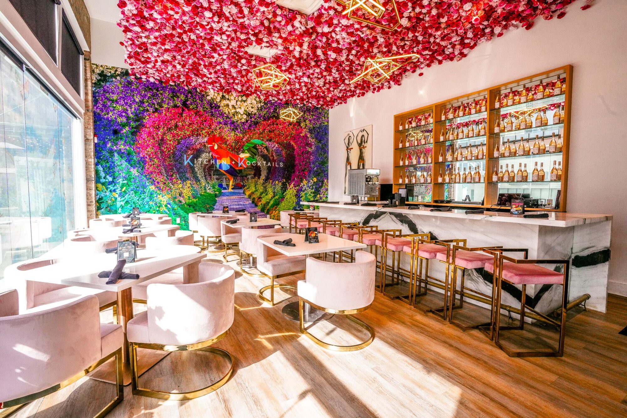 Kitchen and Kocktails: A Culinary Experience Like No Other