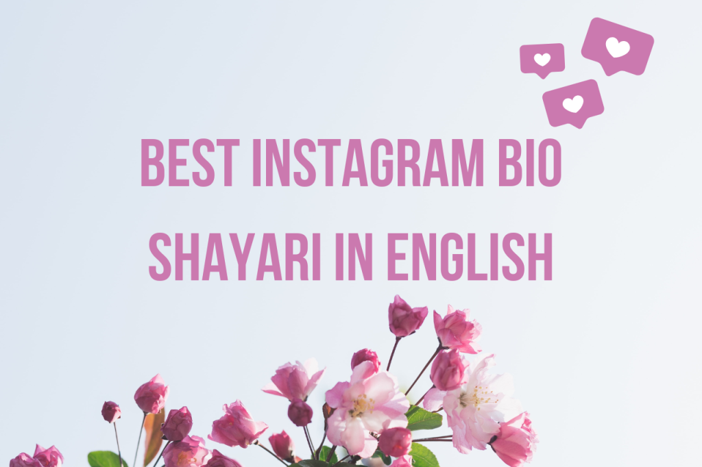 Bio Shayari: Elevate Your Profile with Powerful Words