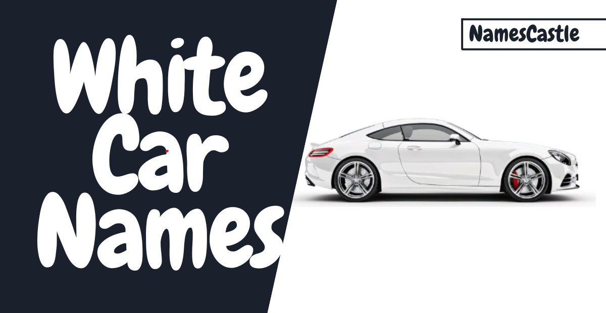 White Car Names: 300+ Stylish, Cool & Unique Ideas for Your Ride