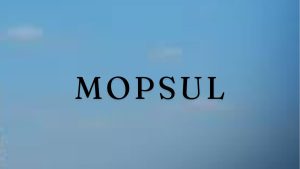 Mopsul: Understanding Its Impact and Applications