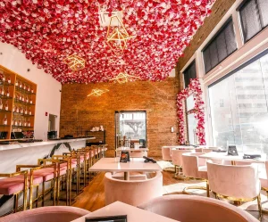 Kitchen and Kocktails: A Culinary Experience Like No Other