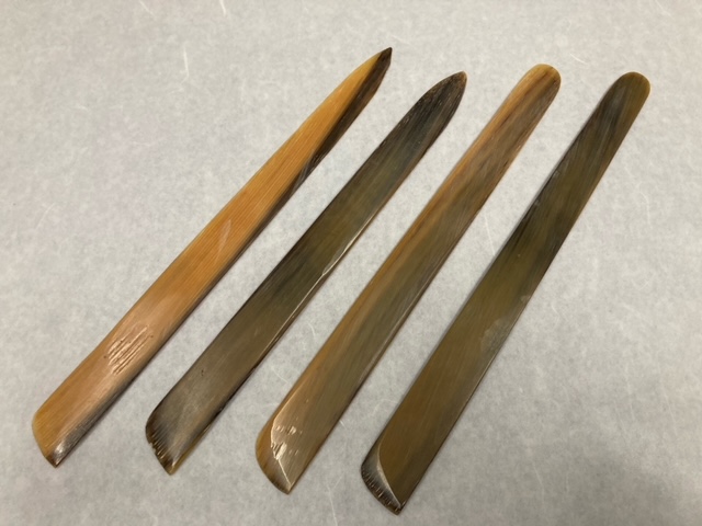 Spatula Whale: The Mysterious Giant of the Ocean