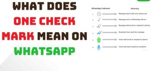 What Does One Check Mark Mean on WhatsApp? Everything You Need to Know! ✅