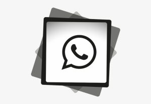 El Negro de WhatsApp: The Viral Sensation That Took the Internet by Storm