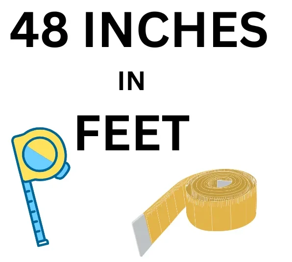 48 Inches in Feet: Simple Conversion for Everyday Use!