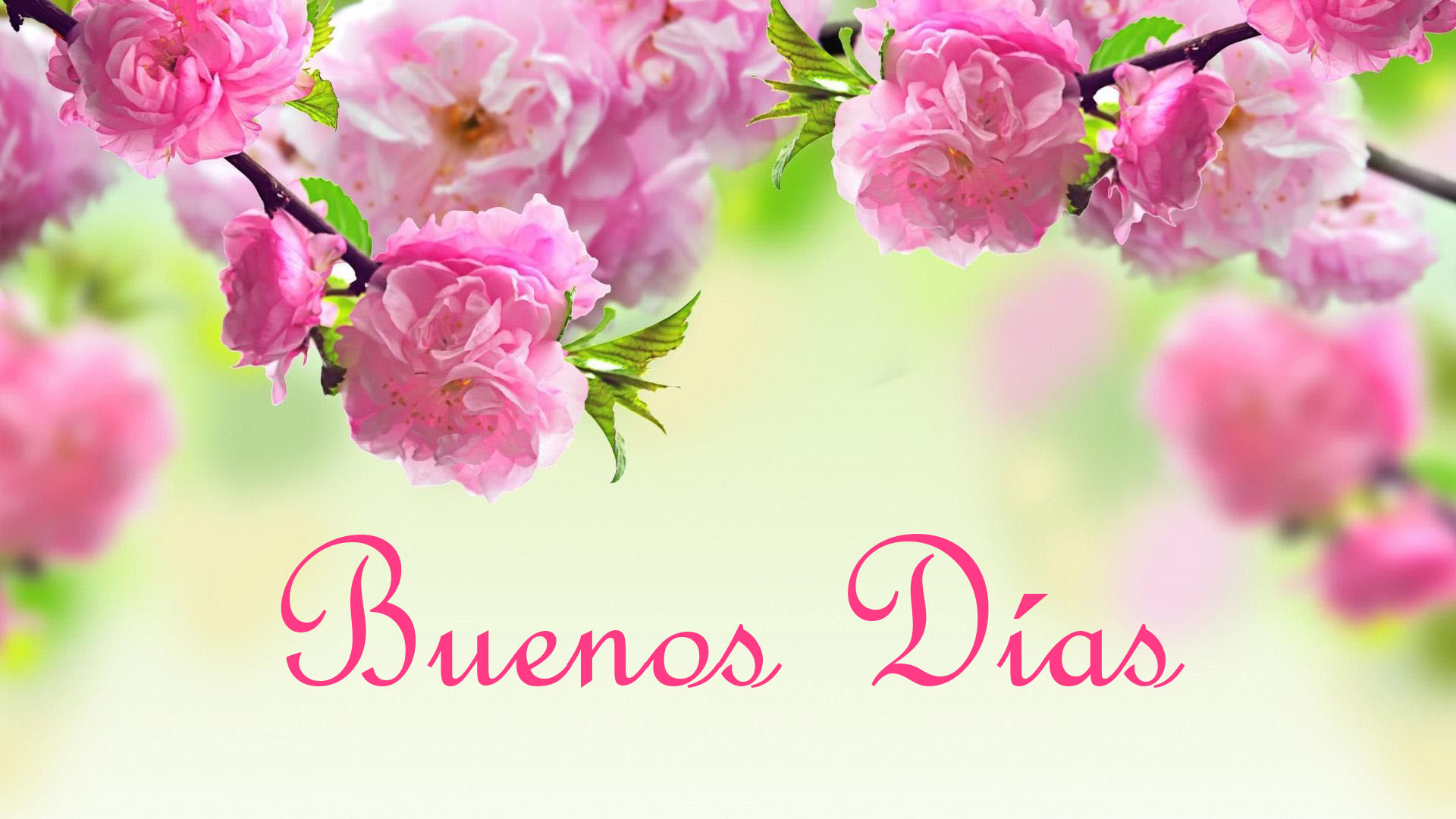 Tarjetas de Buenos Días para WhatsApp – Start Your Day with Positivity and Love