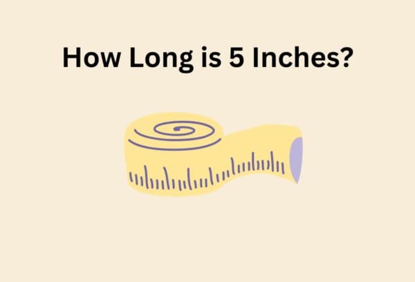 How Long Is 5 Inches?