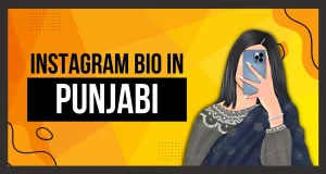 🔥 Best Bio for Instagram for Boy Attitude in Punjabi – Power-Packed & Trending! 🚀