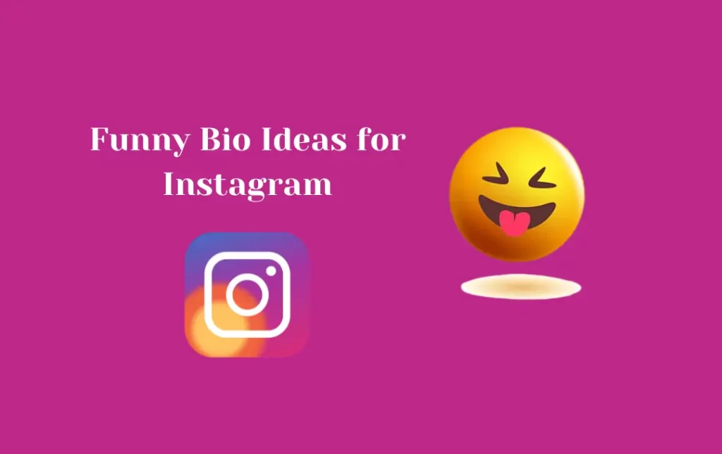 Instagram Funny Bio in Hindi – Best & Unique Bios to Make Your Profile Stand Out!