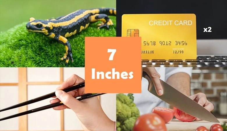 7 Inches: The Perfect Balance of Size and Functionality