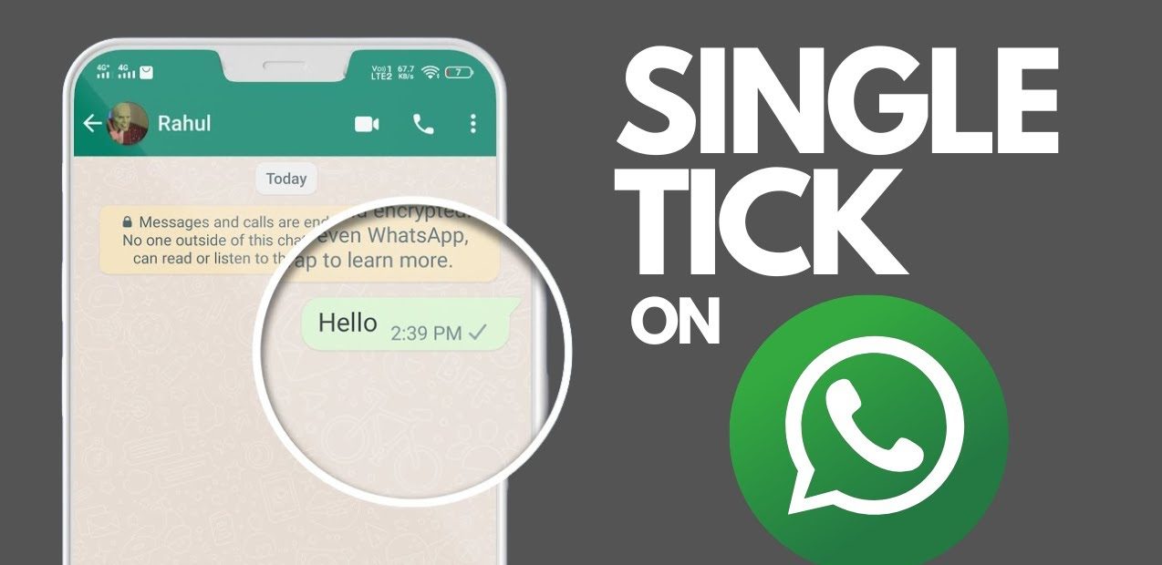 WhatsApp with One Tick: The Secret Behind Message Status & Privacy