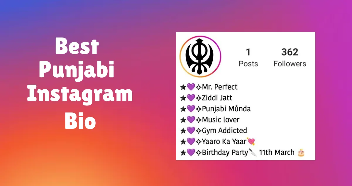 Best Instagram Bio in Punjabi – Show Your Attitude & Style! 🚀🔥