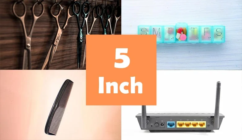 How Long is Five Inches?