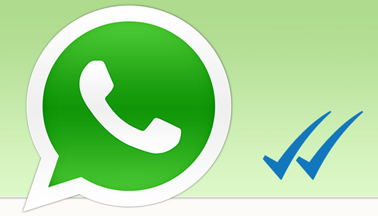 Double Tick Mark in WhatsApp: Meaning, Features & Hidden Facts
