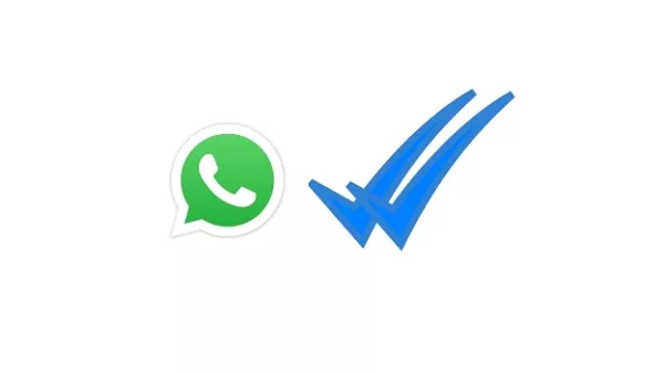 Ultimate WhatsApp Checker: Verify Numbers Instantly & Securely