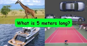 How Long is 5 Meters?