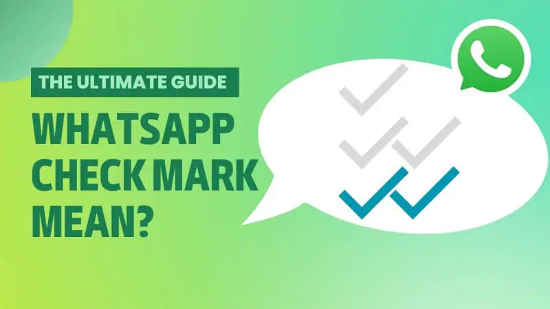 What Does One Check Mark Mean on WhatsApp? Everything You Need to Know! ✅