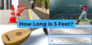 How Long is 3 Feet?