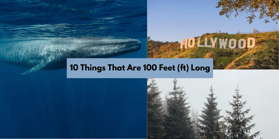 How Much is 100 Feet? 