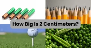 How Big is 2 Centimeters?