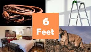 How Long is 6 Feet?