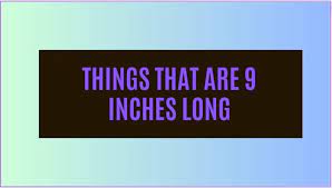 How Long is Nine Inches?
