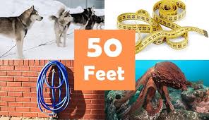 How Big is 50 Feet?