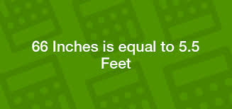 66 inches in Feet: How to Convert and Understand Your Height Accurately