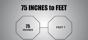 75 Inches in Feet: How to Convert and Understand Your Height Accurately
