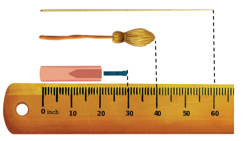 How Tall is 30 Inches?