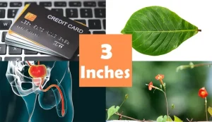 how long is three inches