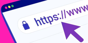 Advanced HTTPS security protocol
