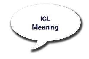 IGL Meaning in Text – Full Form and How to Use It in Chats