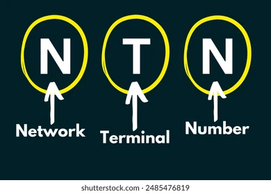ntn Meaning in Text – What It Stands For & How to Use It
