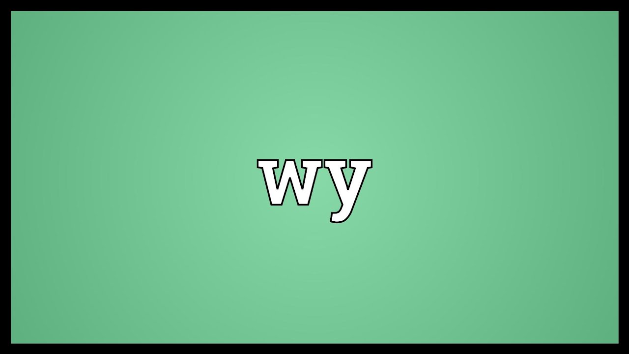 WY Meaning in Text | Slang, Acronyms & Chat Definitions