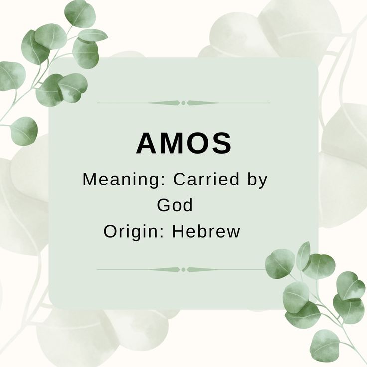 AMOS Meaning in Text: Snapchat, TikTok Slang Explained