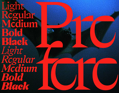 DYHM Meaning in Text: TikTok and What Does it Stand For?