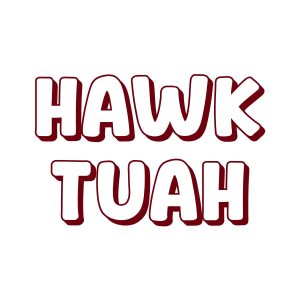 Hawk Tuhh Meaning in Text Messages and Social Media Chats