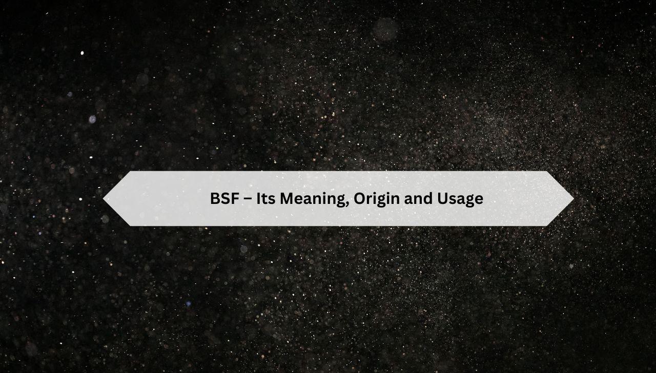 BSFS Meaning in Text and Social Media: Definition & Uses