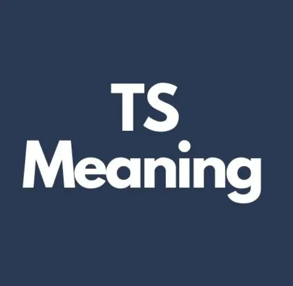 TS Meaning in Text Slang, Examples, Uses, & What it Means